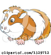 Clipart Of A Cute Guinea Pig Royalty Free Vector Illustration