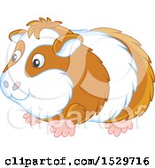 Clipart Of A Cute Guinea Pig Royalty Free Vector Illustration by Alex Bannykh