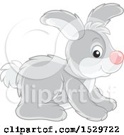 Poster, Art Print Of Cute Gray Rabbit