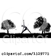 Poster, Art Print Of Black And White Silhouetted Woman In A Pilates Pose In A Park