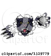 Poster, Art Print Of Black Panther Mascot Shredding Through A Wall With A Golf Ball