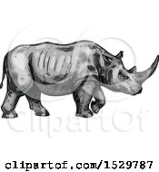 Poster, Art Print Of Sketched Rhino In Profile