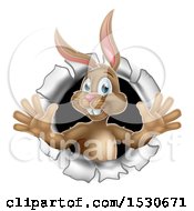 Poster, Art Print Of Happy Easter Bunny Rabbit Breaking Through A Hole In A Wall