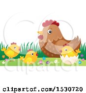 Clipart Of A Mother Hen And Chicks Royalty Free Vector Illustration