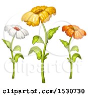 Clipart Of A Trio Of Daisy Flowers Royalty Free Vector Illustration