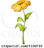 Clipart Of A Yellow Daisy Flower Royalty Free Vector Illustration