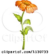 Clipart Of An Orange Daisy Flower Royalty Free Vector Illustration