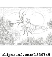 Poster, Art Print Of Black And White Shrimp Swimming Over A Coral Reef