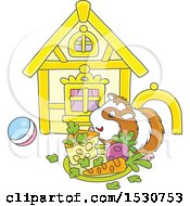 Happy Pet Guinea Pig With A House Toys And Plate Of Food