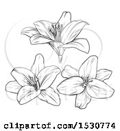 Clipart Of Black And White Lily Flowers Royalty Free Vector Illustration by AtStockIllustration