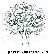Clipart Of A Dark Green Apple Tree Royalty Free Vector Illustration