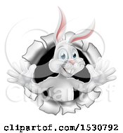 Clipart Of A Happy White Easter Bunny Rabbit Popping Out Of A Hole Royalty Free Vector Illustration
