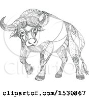 Sketched Cape Buffalo In Black And White