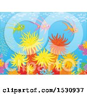 Poster, Art Print Of Group Of Colorful Fish Swimming Over Corals And Sea Anemones