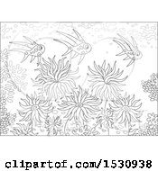 Poster, Art Print Of Black And White Group Of Fish Swimming Over Corals And Sea Anemones