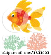 Clipart Of A Happy Fish Swimming Over Coral Royalty Free Vector Illustration