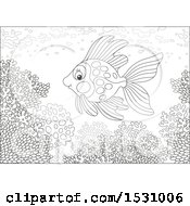Poster, Art Print Of Black And White Fish Swimming Over A Coral Reef