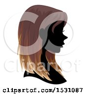 Poster, Art Print Of Silhouette Female Profile With Ombre Hair