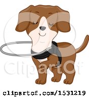 Poster, Art Print Of Blind Dog Wearing A Harness