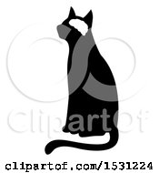 Poster, Art Print Of Silhouetted Cat With Visible Brain