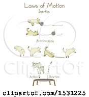 Poster, Art Print Of Kitty Cat Demonstrating The Laws Of Motion