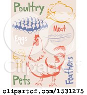 Poster, Art Print Of Chicken Agriculture Labels