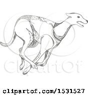 Clipart Of A Sketched Greyhound Dog Racing Royalty Free Vector Illustration