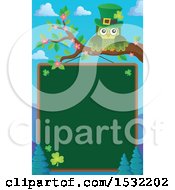 Poster, Art Print Of Green St Patricks Day Owl On A Branch Over A Chalkboard
