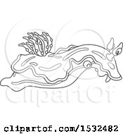 Poster, Art Print Of Black And White Chromodoris Willani Sea Slug Nudibranch