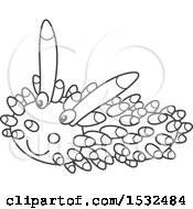 Clipart Of A Black And White Sea Slug Nudibranch Royalty Free Vector Illustration