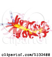 Poster, Art Print Of Red And Yellow Sea Slug