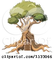 Poster, Art Print Of Gnarled Tree With A Door
