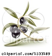 Clipart Of A Blck Olive Branch And Leaves Royalty Free Vector Illustration by Oligo