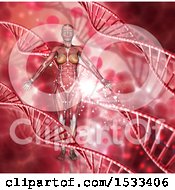Clipart Of A 3d Woman With Visible Muscle Structure On A Red Dna Background Royalty Free Illustration