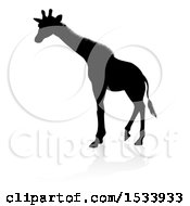 Clipart Of A Silhouetted Giraffe With A Shadow On A White Background Royalty Free Vector Illustration