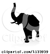 Poster, Art Print Of Silhouetted Elephant With A Reflection On A White Background