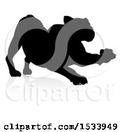 Poster, Art Print Of Silhouetted Lioness Stretching With A Shadow On A White Background