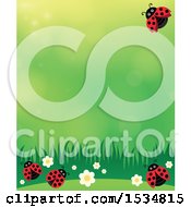 Clipart Of A Ladybug Spring Time Background Royalty Free Vector Illustration