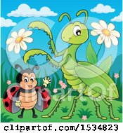 Poster, Art Print Of Ladybug And Praying Mantis