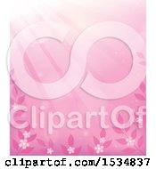 Poster, Art Print Of Pink Flower And Leaf Background With Sun Rays
