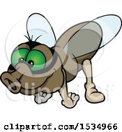 Poster, Art Print Of Green Eyed Fly