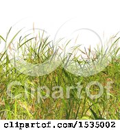 Background Of 3d Grass