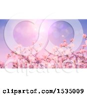 Poster, Art Print Of Background Of 3d Cherry Blossoms