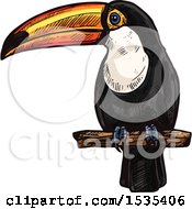 Clipart Of A Sketched Perched Toucan Bird Royalty Free Vector Illustration by Vector Tradition SM