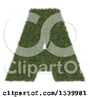 Poster, Art Print Of 3d Grassy Capital Letter A On A White Background