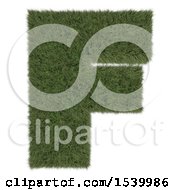 Poster, Art Print Of 3d Grassy Capital Letter F On A White Background