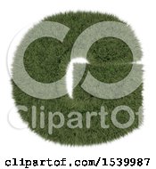 Poster, Art Print Of 3d Grassy Capital Letter G On A White Background