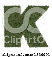 Poster, Art Print Of 3d Grassy Capital Letter K On A White Background
