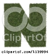 Poster, Art Print Of 3d Grassy Capital Letter N On A White Background