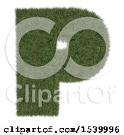 Poster, Art Print Of 3d Grassy Capital Letter P On A White Background